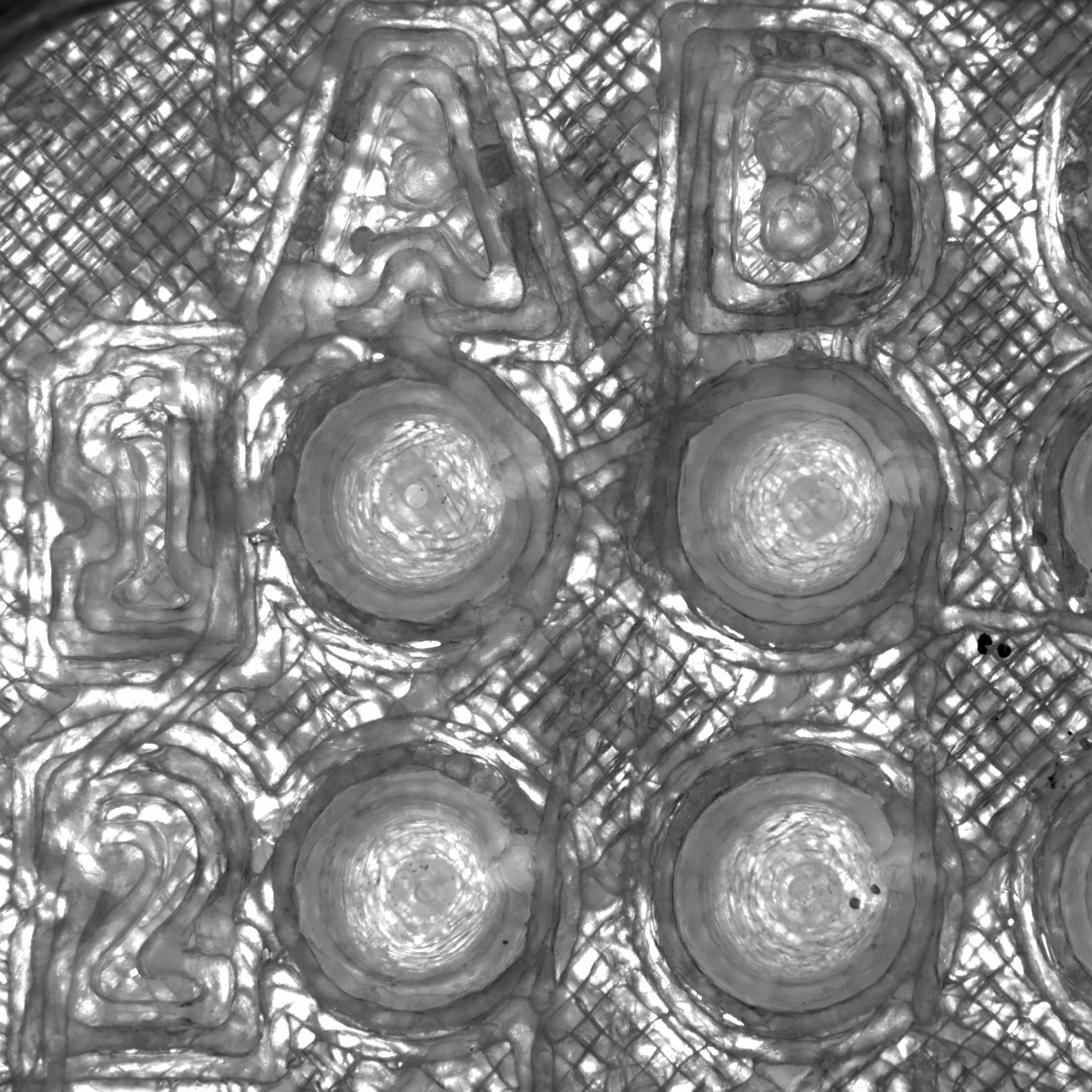 The view of an individual well under a transmitted light microscope